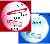 Graphical abstract: On the propulsion mechanism of “jumping” crystals