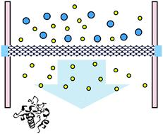 Graphical abstract: Self-standing mesoporous membranes toward highly selective molecular transportation