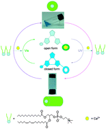 Graphical abstract: Reversible photo-controllable gels based on bisthienylethene-doped lecithin micelles