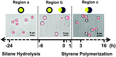 Graphical abstract: Synthesis of Janus particles via kinetic control of phase separation in emulsion droplets