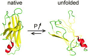 Graphical abstract: High hydrostatic pressure: a probing tool and a necessary parameter in biophysical chemistry