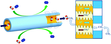 Graphical abstract: An asymmetric tubular ceramic-carbonate dual phase membrane for high temperature CO2 separation