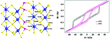 Graphical abstract: Polar metal phosphonate containing unusual μ4-OH bridged double chains showing canted antiferromagnetism with large coercivity