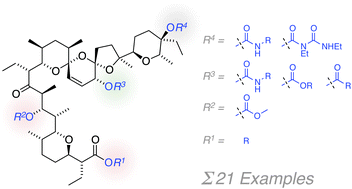 Graphical abstract: Synthetic modification of salinomycin: selective O-acylation and biological evaluation