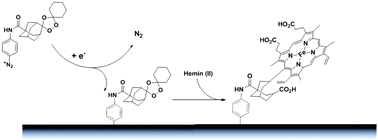 Graphical abstract: Selective trioxolane based bifunctional molecular linkers for covalent heme surface functionalisation