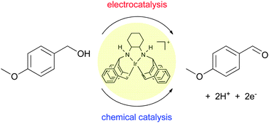 Graphical abstract: Highly selective electrocatalytic dehydrogenation at low applied potential catalyzed by an Ir organometallic complex