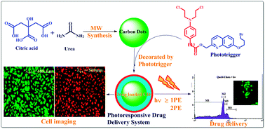 Graphical abstract: Photoresponsive quinoline tethered fluorescent carbon dots for regulated anticancer drug delivery
