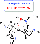 Graphical abstract: Production of hydrogen by electrocatalysis: making the H–H bond by combining protons and hydrides