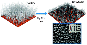 Graphical abstract: Lotus leaf-inspired CVD grown graphene for a water repellant flexible transparent electrode