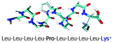 Graphical abstract: Unusual ECD fragmentation attributed to gas-phase helix formation in a conformationally dynamic peptide