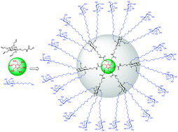 Graphical abstract: Efficient and accelerated growth of multifunctional dendrimers using orthogonal thiol–ene and SN2 reactions