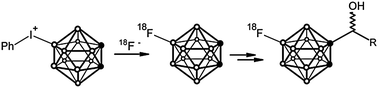 Graphical abstract: [18F]Fluorination of o-carborane via nucleophilic substitution: towards a versatile platform for the preparation of 18F-labelled BNCT drug candidates