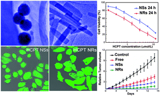 Graphical abstract: Shape design of high drug payload nanoparticles for more effective cancer therapy