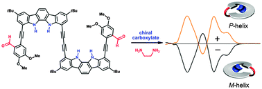 Graphical abstract: A helically twisted imine macrocycle that allows for determining the absolute configuration of α-amino carboxylates