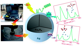 Graphical abstract: Rapid in situ identification of arsenic species using a portable Fe3O4@Ag SERS sensor