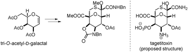 Graphical abstract: Stereocontrolled synthesis of the oxathiabicyclo[3.3.1]nonane core structure of tagetitoxin