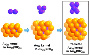 Graphical abstract: Synthesis of a Au44(SR)28 nanocluster: structure prediction and evolution from Au28(SR)20, Au36(SR)24 to Au44(SR)28