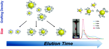 Graphical abstract: A method for separating PEGylated Au nanoparticle ensembles as a function of grafting density and core size