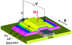 Graphical abstract: The first decade of organic spintronics research