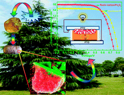 Graphical abstract: Composite catalyst of rosin carbon/Fe3O4: highly efficient counter electrode for dye-sensitized solar cells