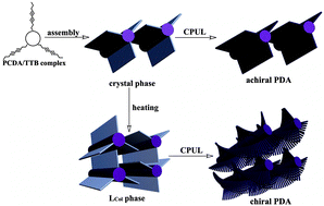 Graphical abstract: Helical polydiacetylene prepared in the liquid crystal phase using circular polarized ultraviolet light