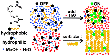 Graphical abstract: Aggregation-induced emission of GFP-like chromophores via exclusion of solvent–solute hydrogen bonding