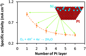 Graphical abstract: The role of transition metals in the catalytic activity of Pt alloys: quantification of strain and ligand effects