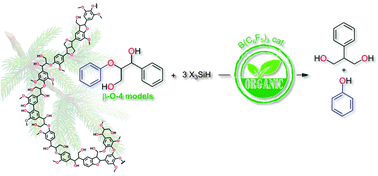 Graphical abstract: Unprecedented organocatalytic reduction of lignin model compounds to phenols and primary alcohols using hydrosilanes