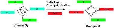 Graphical abstract: Stabilizing vitamin D3 by conformationally selective co-crystallization