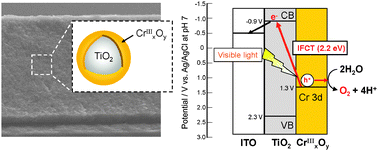 Graphical abstract: Visible-light-driven water oxidation at a polychromium-oxo-electrodeposited TiO2 electrode as a new type of earth-abundant photoanode