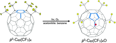 Graphical abstract: An elusive fulvene 1,7,11,24-C60(CF3)4 and its unusual reactivity