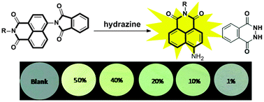 Graphical abstract: Hydrazine detection in the gas state and aqueous solution based on the Gabriel mechanism and its imaging in living cells