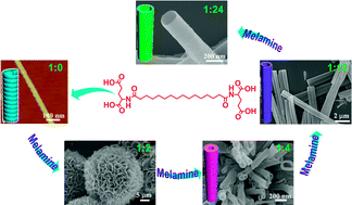 Graphical abstract: H-bond and π–π stacking directed self-assembly of two-component supramolecular nanotubes: tuning length, diameter and wall thickness