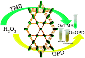 Graphical abstract: Water-stable metal–organic frameworks with intrinsic peroxidase-like catalytic activity as a colorimetric biosensing platform