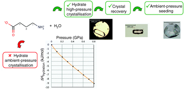 Graphical abstract: Pharmaceutical hydrates under ambient conditions from high-pressure seeds: a case study of GABA monohydrate