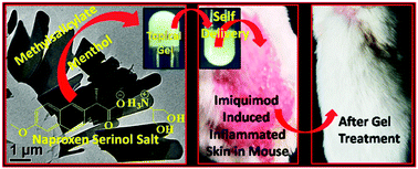 Graphical abstract: Designing a simple organic salt-based supramolecular topical gel capable of displaying in vivo self-delivery application