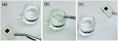 Graphical abstract: Optical bleaching of perovskite (CH3NH3)PbI3 through room-temperature phase transformation induced by ammonia