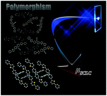 Graphical abstract: Polymorphism in 9,9-diarylfluorene-based organic semiconductors: influence on optoelectronic functions
