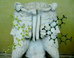 Graphical abstract: Supramolecular assembly in a Janus-type urea system