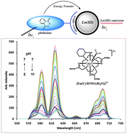 Graphical abstract: Outer-sphere anion recognition by a cyclen-based octadentate europium(iii) complex: pH dependent recognition of ortho-phthalic acid