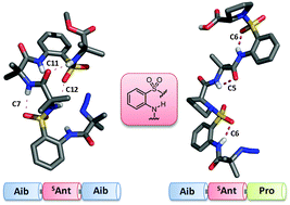 Graphical abstract: Conformational modulation of peptide secondary structures using β-aminobenzenesulfonic acid