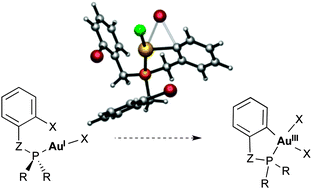 Graphical abstract: Rationale for the sluggish oxidative addition of aryl halides to Au(i)