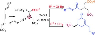 Graphical abstract: Catalytic asymmetric synthesis of 1,3-enyne scaffolds: design and synthesis of conjugated nitro dienynes as novel Michael acceptors and development of a new synthetic methodology