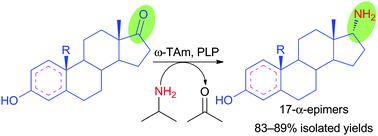 Graphical abstract: Synthesis of pharmaceutically relevant 17-α-amino steroids using an ω-transaminase