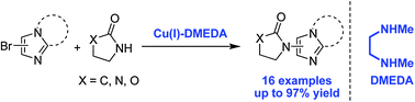 Graphical abstract: Cu-catalyzed amidation of halogenated imidazoles