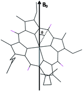 Graphical abstract: Analysis of the residual alignment of a paramagnetic multiheme cytochrome by NMR