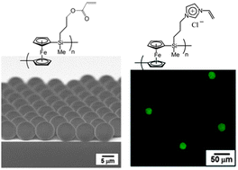 Graphical abstract: Redox-responsive organometallic microgel particles prepared from poly(ferrocenylsilane)s generated using microfluidics