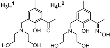 Graphical abstract: “Converting” an hexametallic MnIII wheel to a dodecametallic MnIII wheel via ligand oximation