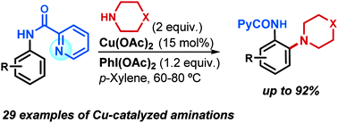 Graphical abstract: Copper-catalyzed ortho-C–H amination of protected anilines with secondary amines