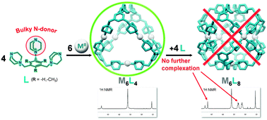 Graphical abstract: Sterically controlled self-assembly of tetrahedral M6L4 cages via cationic N-donor ligands